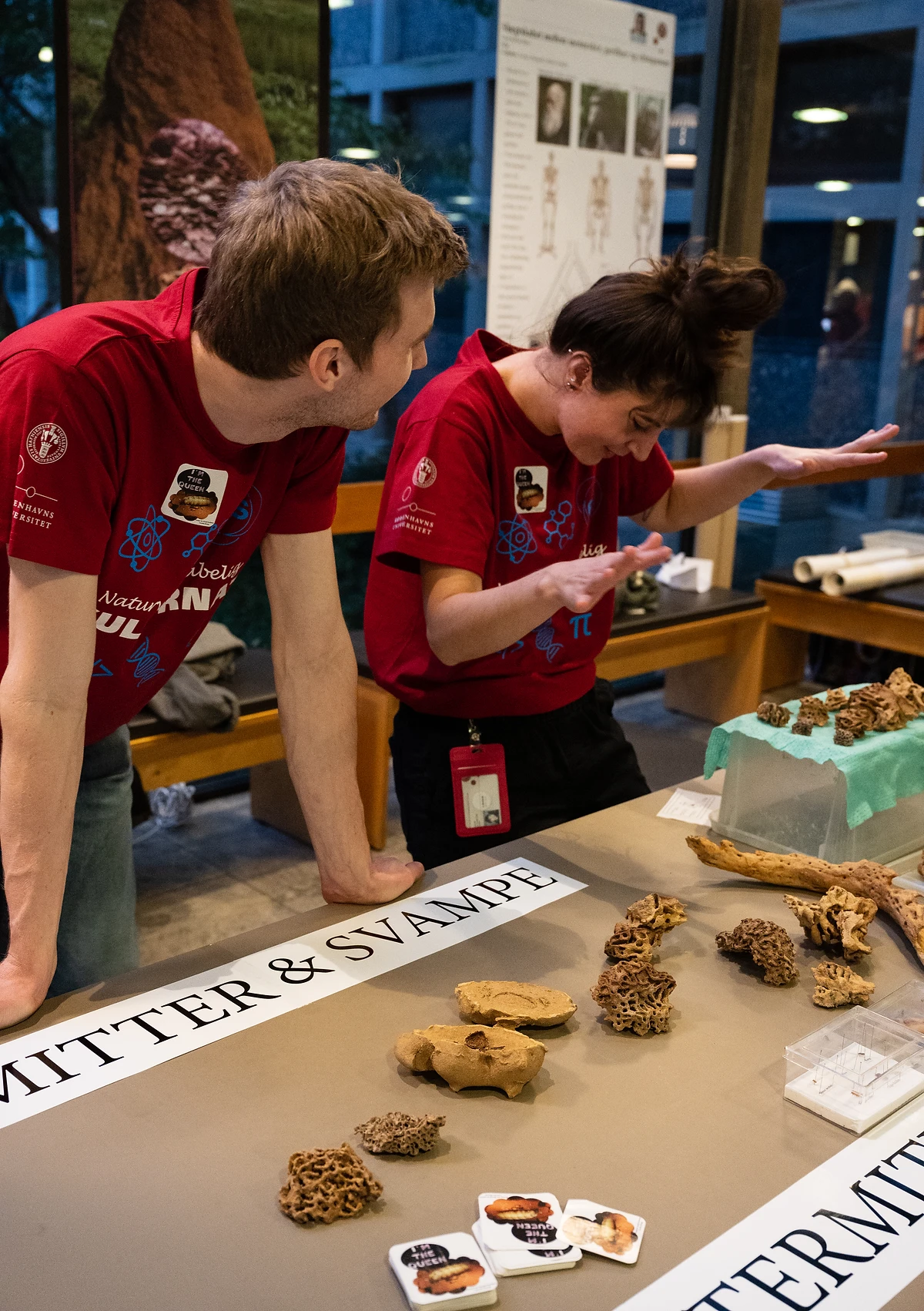 Naturvidenskabelig Kulturnat